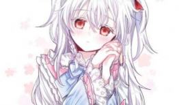 动漫 二次元,探寻动漫世界的奇幻旅程